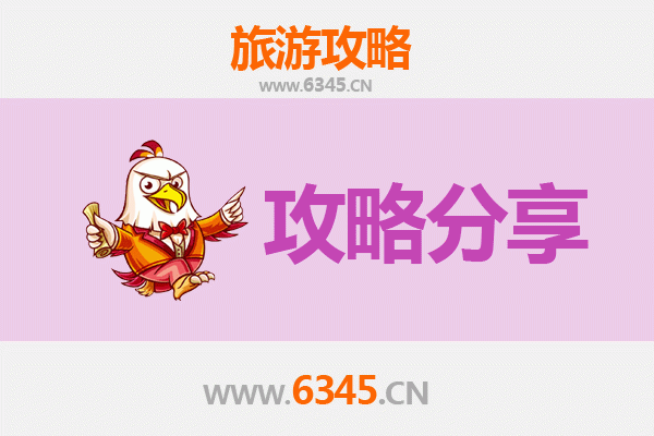 商丘宁陵至湄洲岛旅游攻略：跟团还是自由行？